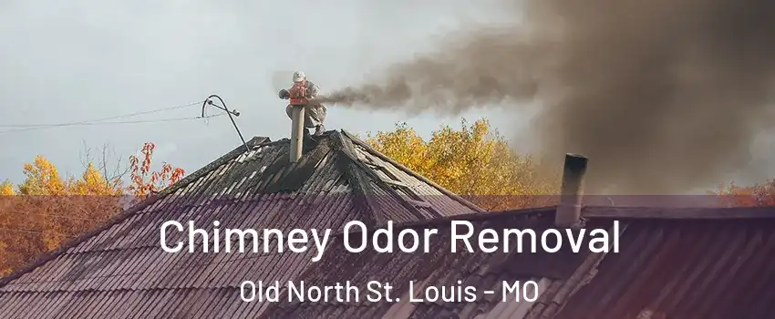Chimney Odor Removal Old North St. Louis - MO