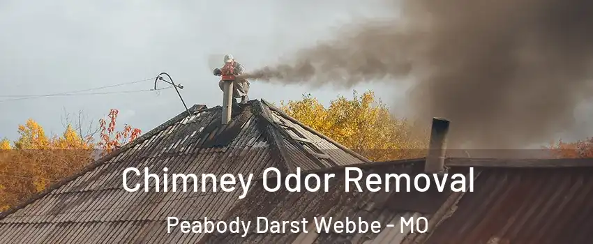 Chimney Odor Removal Peabody Darst Webbe - MO