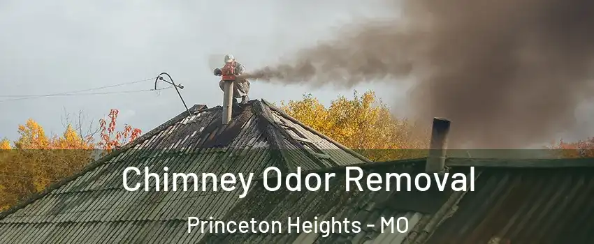 Chimney Odor Removal Princeton Heights - MO