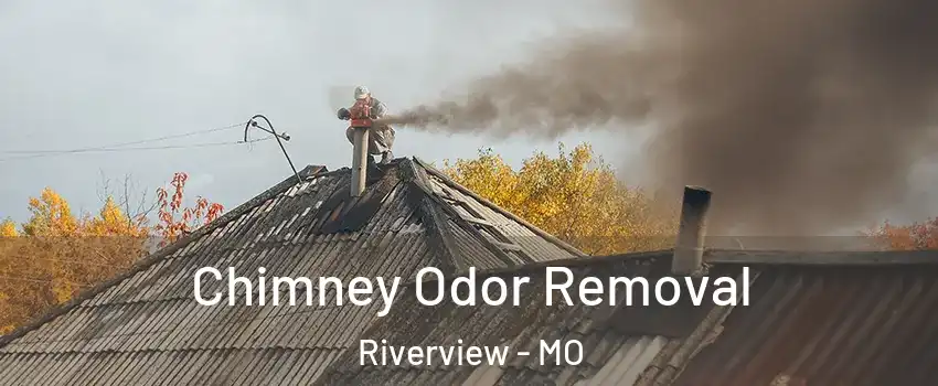 Chimney Odor Removal Riverview - MO