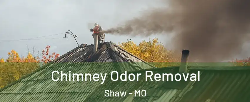Chimney Odor Removal Shaw - MO