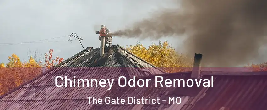 Chimney Odor Removal The Gate District - MO
