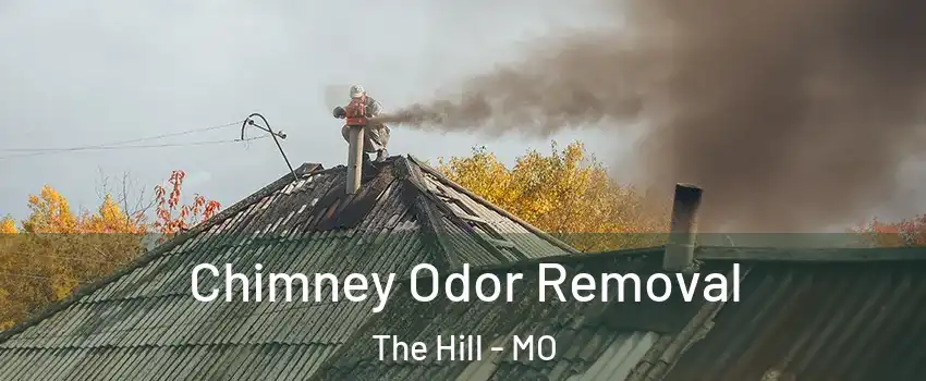Chimney Odor Removal The Hill - MO
