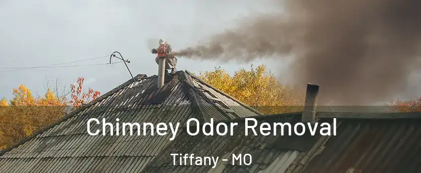 Chimney Odor Removal Tiffany - MO