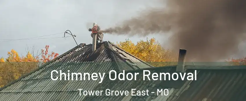 Chimney Odor Removal Tower Grove East - MO
