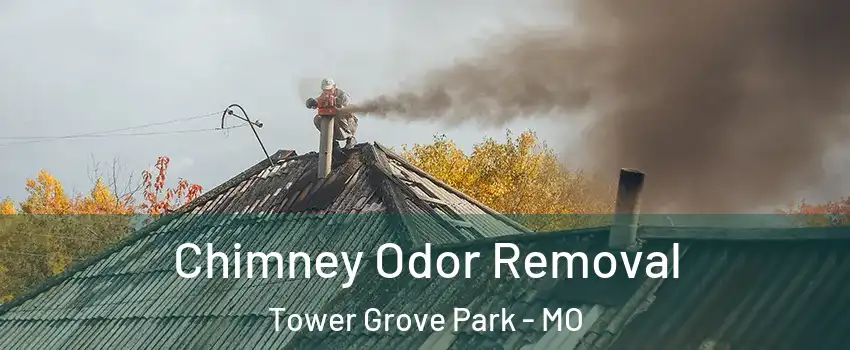 Chimney Odor Removal Tower Grove Park - MO