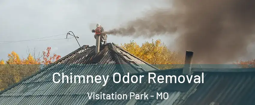 Chimney Odor Removal Visitation Park - MO