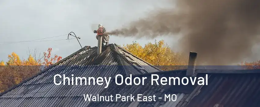 Chimney Odor Removal Walnut Park East - MO