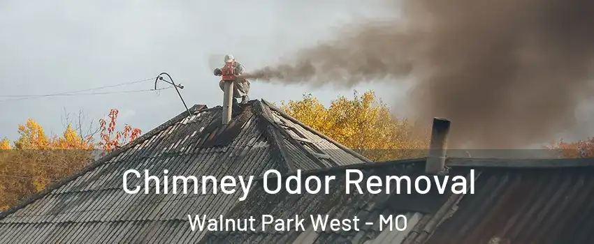 Chimney Odor Removal Walnut Park West - MO