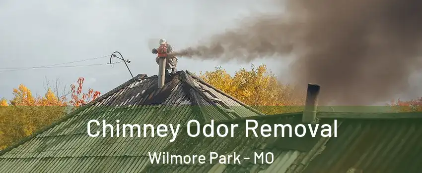 Chimney Odor Removal Wilmore Park - MO