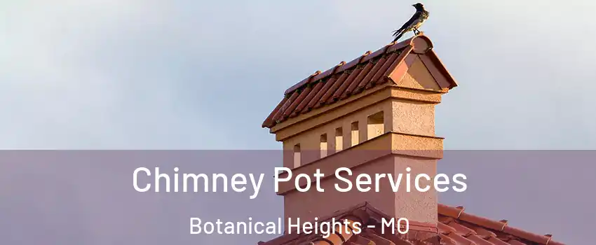 Chimney Pot Services Botanical Heights - MO