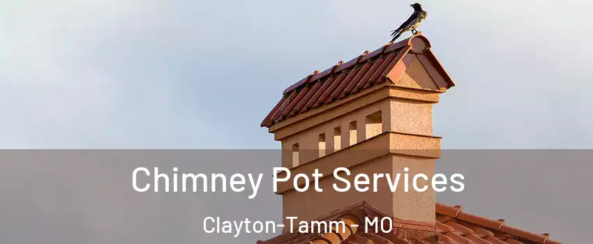 Chimney Pot Services Clayton-Tamm - MO