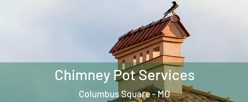 Chimney Pot Services Columbus Square - MO