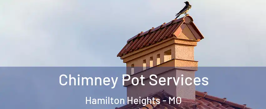 Chimney Pot Services Hamilton Heights - MO