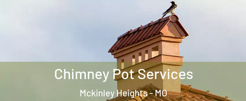 Chimney Pot Services Mckinley Heights - MO