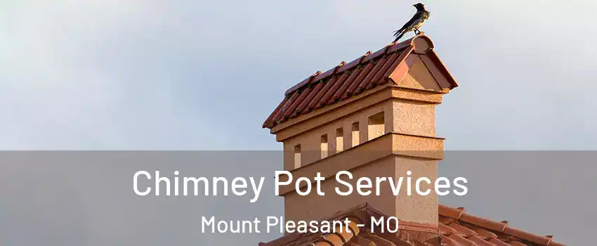 Chimney Pot Services Mount Pleasant - MO