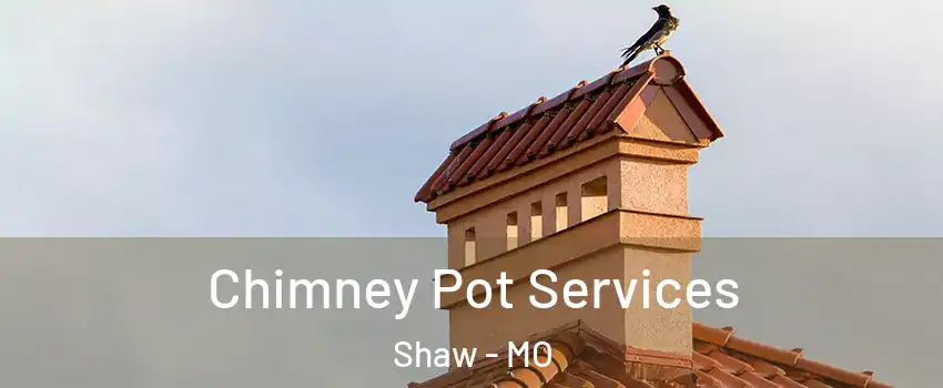 Chimney Pot Services Shaw - MO