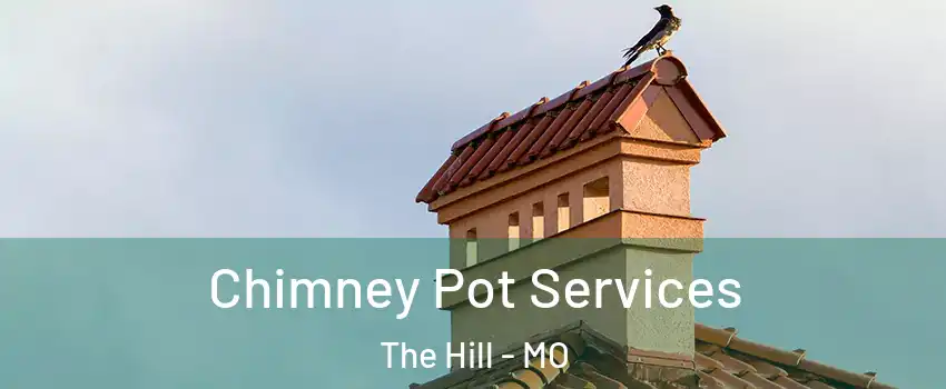 Chimney Pot Services The Hill - MO