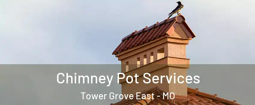 Chimney Pot Services Tower Grove East - MO