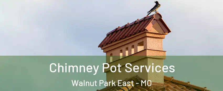 Chimney Pot Services Walnut Park East - MO
