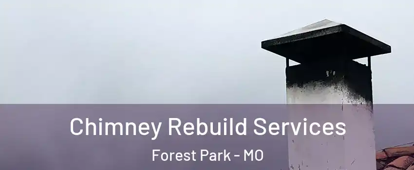 Chimney Rebuild Services Forest Park - MO