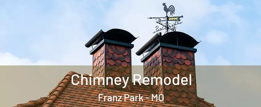 Chimney Remodel Franz Park - MO