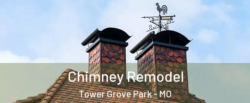 Chimney Remodel Tower Grove Park - MO