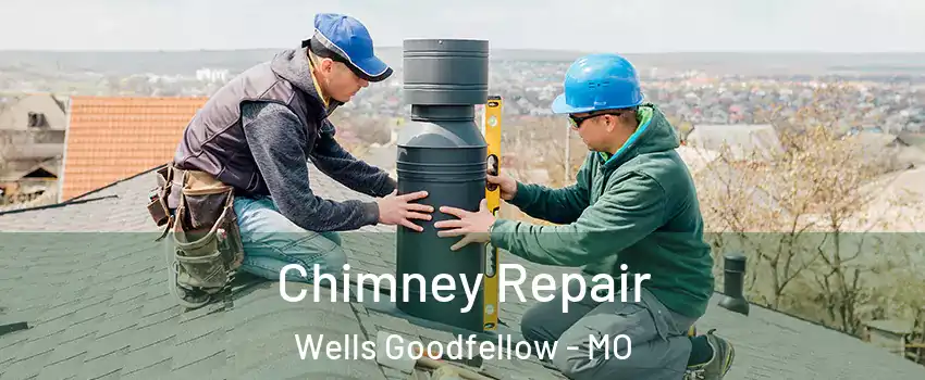 Chimney Repair Wells Goodfellow - MO