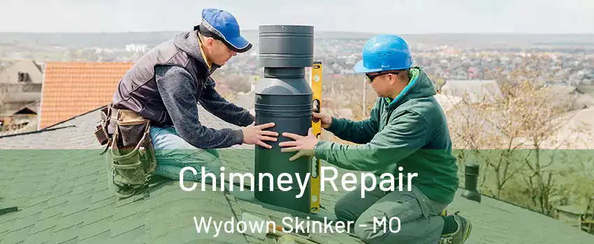 Chimney Repair Wydown Skinker - MO