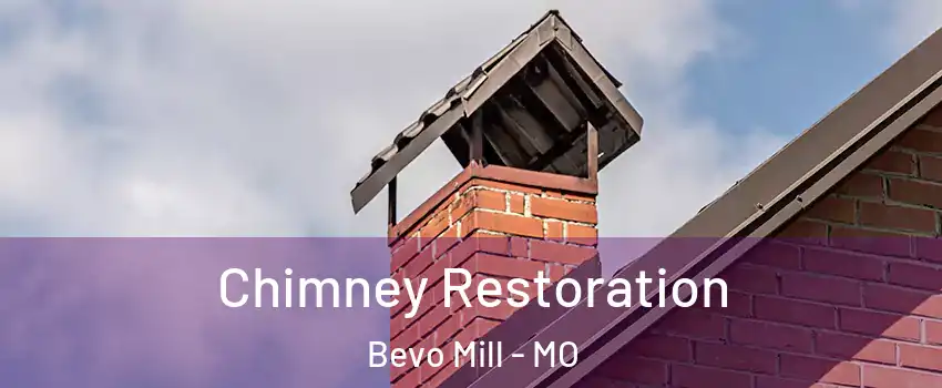 Chimney Restoration Bevo Mill - MO