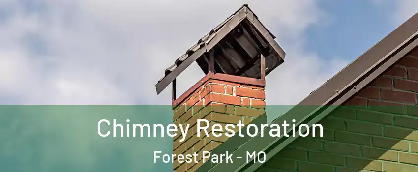 Chimney Restoration Forest Park - MO
