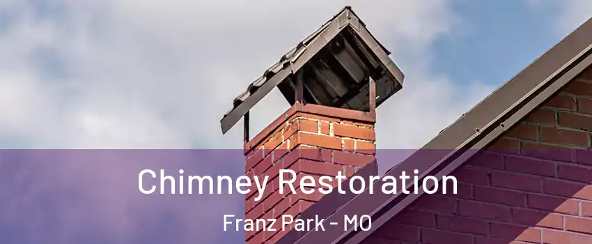 Chimney Restoration Franz Park - MO