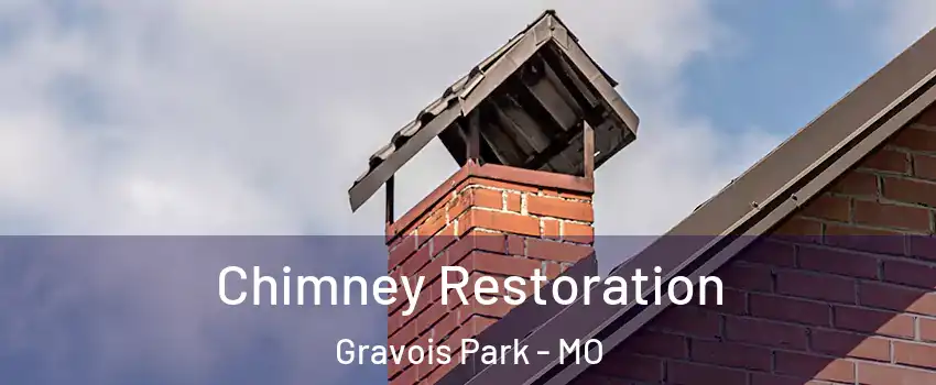 Chimney Restoration Gravois Park - MO