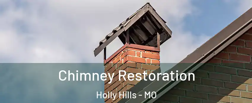 Chimney Restoration Holly Hills - MO