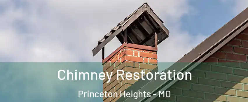 Chimney Restoration Princeton Heights - MO