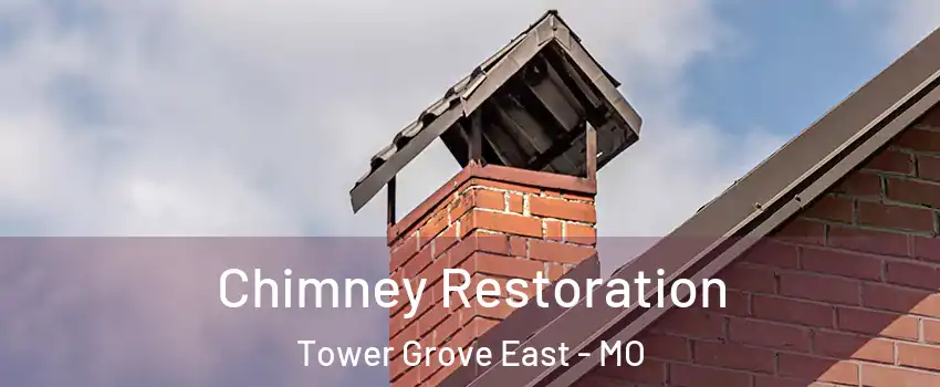 Chimney Restoration Tower Grove East - MO