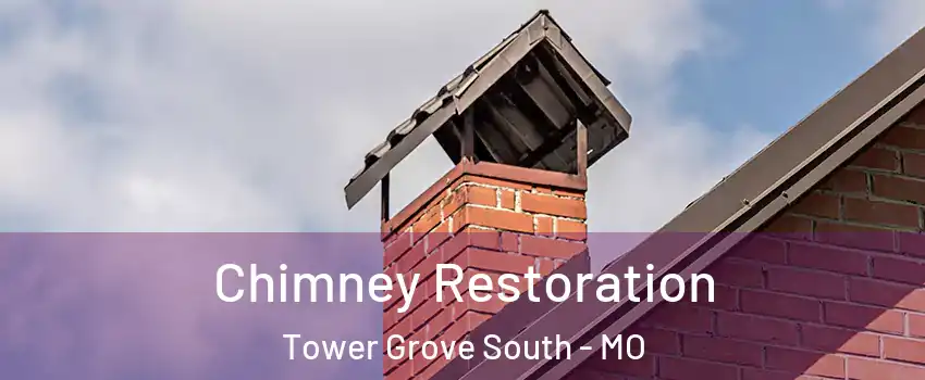 Chimney Restoration Tower Grove South - MO