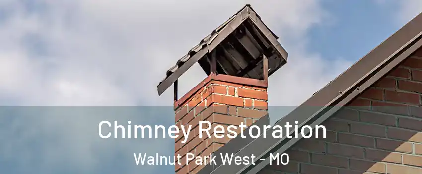 Chimney Restoration Walnut Park West - MO