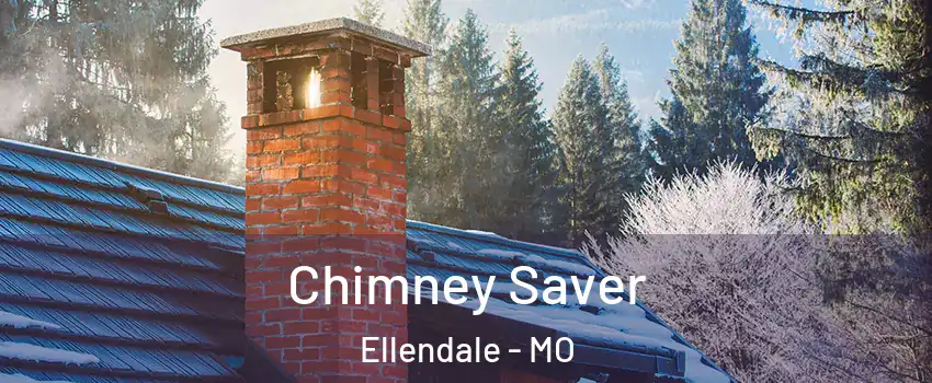 Chimney Saver Ellendale - MO