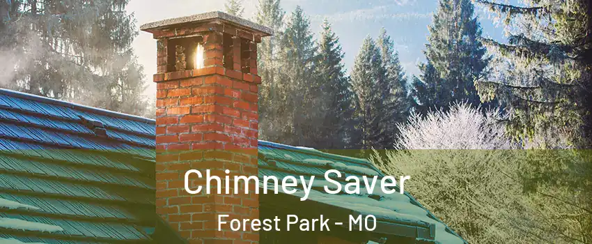 Chimney Saver Forest Park - MO
