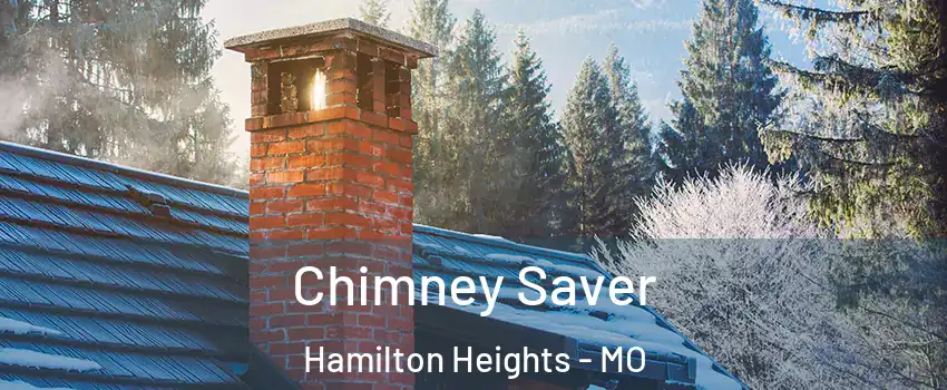 Chimney Saver Hamilton Heights - MO