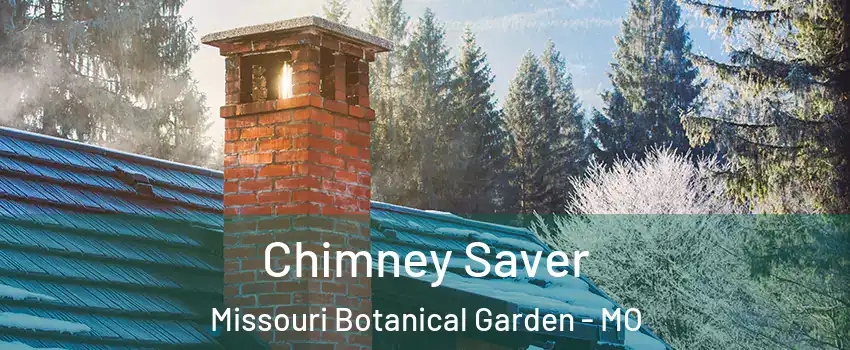 Chimney Saver Missouri Botanical Garden - MO