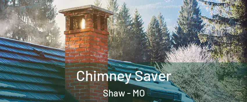 Chimney Saver Shaw - MO