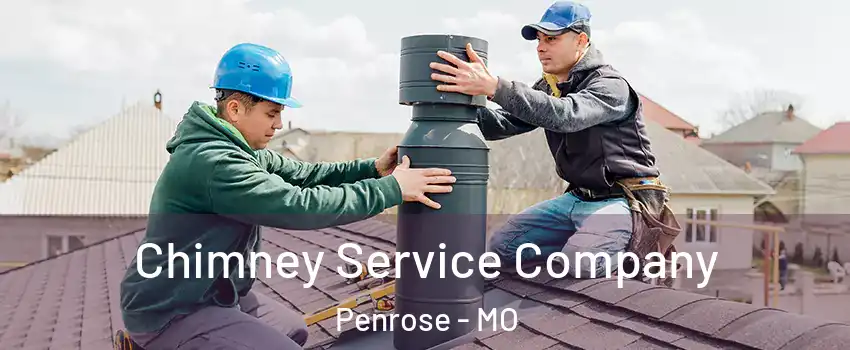Chimney Service Company Penrose - MO