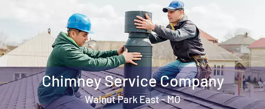 Chimney Service Company Walnut Park East - MO