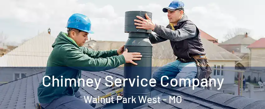 Chimney Service Company Walnut Park West - MO