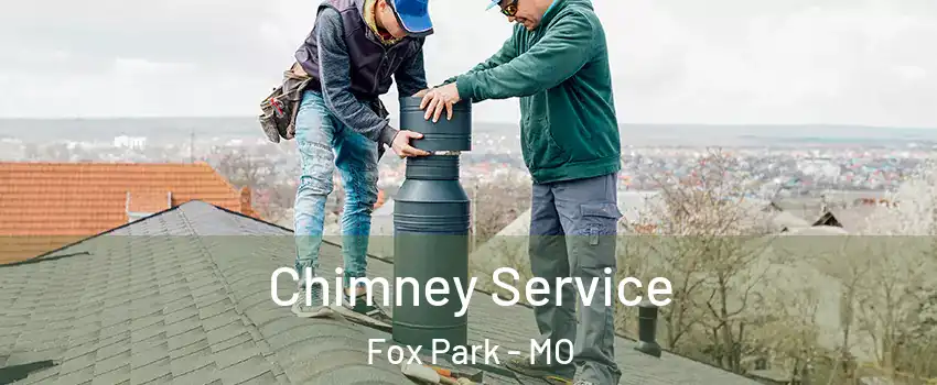 Chimney Service Fox Park - MO