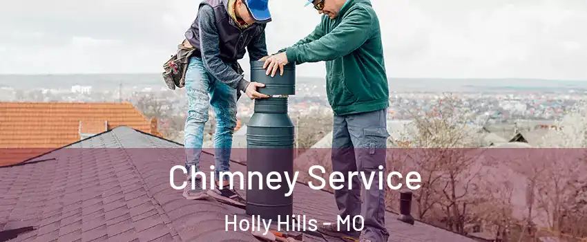 Chimney Service Holly Hills - MO