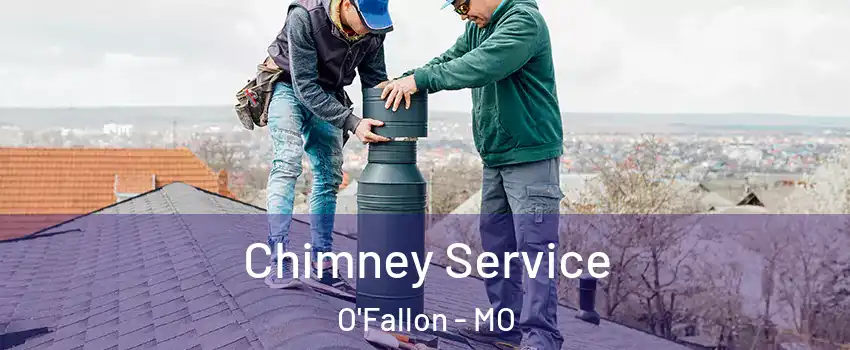 Chimney Service O'Fallon - MO