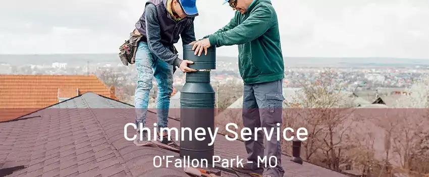 Chimney Service O'Fallon Park - MO
